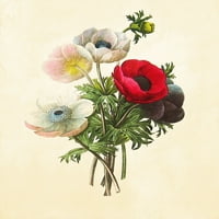 Slike grafički ispis Botanička priroda i cvjetni otisci umjetnosti, set od 2