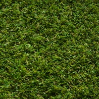 Dobro tkana Arcadia trava Moderna čvrsta ravna zelena unutarnja vanjska vanjska nejasna 20 5 'Runner prostirka