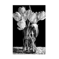 Sandra Willard 'devet tulipana' platna umjetnost