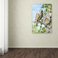 Zaštitni znak likovna umjetnost 'Obitelj Barn Owl' Canvas Art by MacNeil Studio
