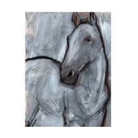 Jennifer Paxton Parker 'White Horse ConTuar II' platno umjetnost