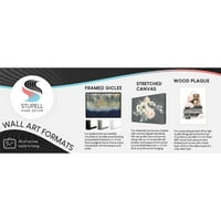 Stupell Industries Wild Raccoon Perking slojeviti slikovito slikoviti četkice Framed Wall Art, 14, Dizajn zvjezdanog