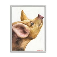 _ Oksfordska pješčana svinja šarmantan izgled farmske životinje u sivom okviru, 14 godina, Dizajn Georgea Diachenka