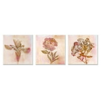 Stupell Industries Vintage Osušeni ružičasti cvjetovi spljošteni cvjetovi zidna ploča, 12, dizajn Judy Stalus