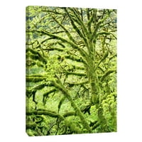 Slike, proljetna zelena, 16x20, ukrasna zidna umjetnost platna