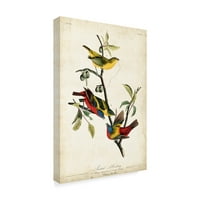 Zaštitni znak likovna umjetnost 'oslikana bunting crveno' platno umjetnost Johna Jamesa Audubona