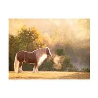 Slika na platnu Zlatni osvijetljeni konj