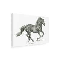 Zaštitni znak likovne umjetnosti portret divljeg konja iz Amerike, ulje na platnu Jennifer Puckstone Parker