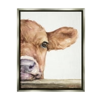 Teletina, krava koja odmara glavu prema gore-Izbliza seoska slika sjajno sivo platno s plutajućim okvirom, zidni